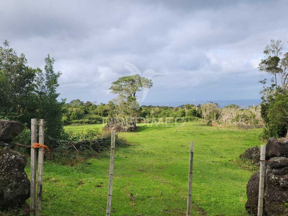 Helårsgrund i Madalena, Pico - foto 2