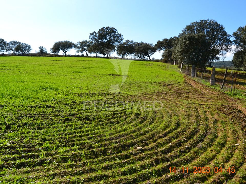 Farm hus i Vila Vicosa, Evora - foto 3