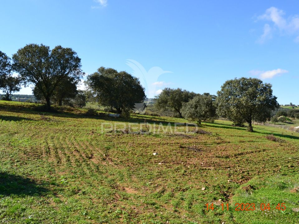 Farm hus i Vila Vicosa, Evora - foto 4
