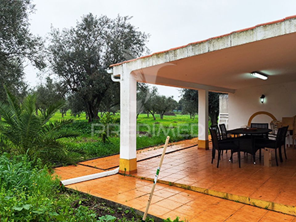 Casa de campo en Avis, Portalegre - foto 5
