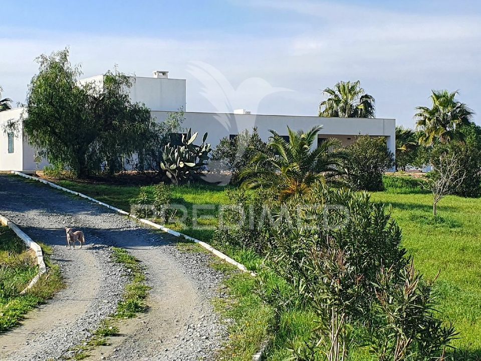 Farm hus i Ferreira do Alentejo, Beja - foto 5