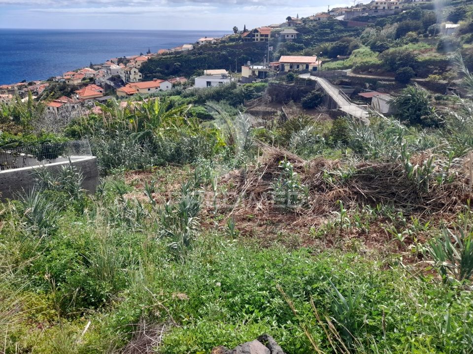 Helårsgrund i Santa Cruz, Madeira - foto 2