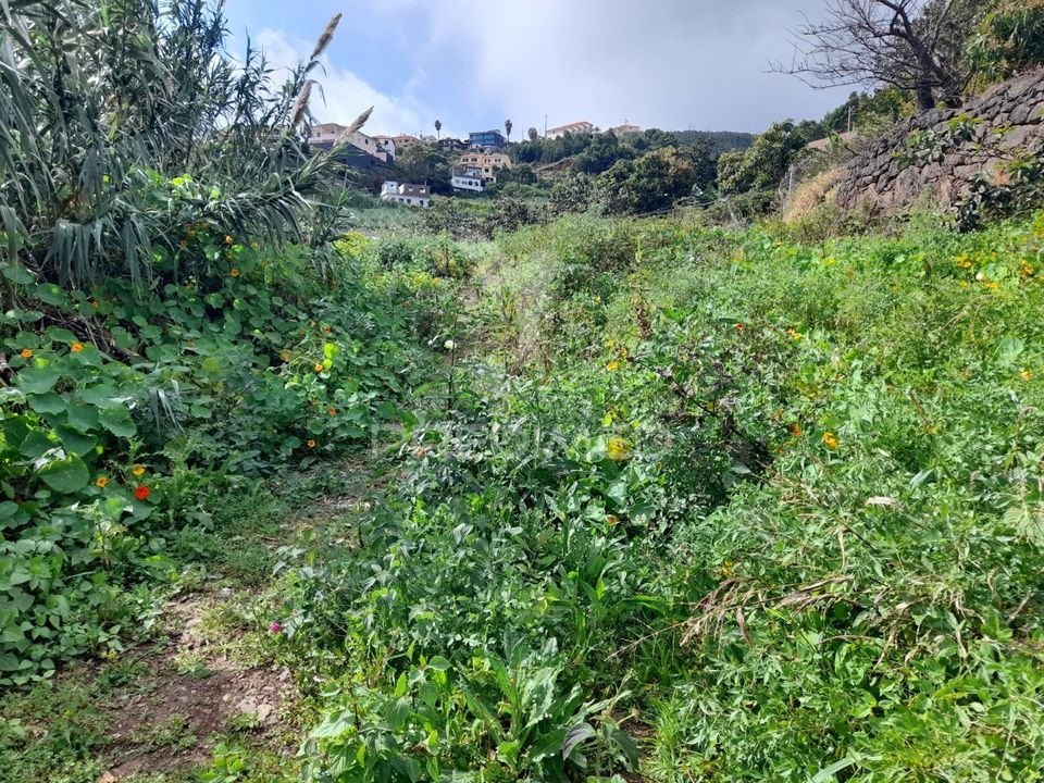 Helårsgrund i Santa Cruz, Madeira - foto 4