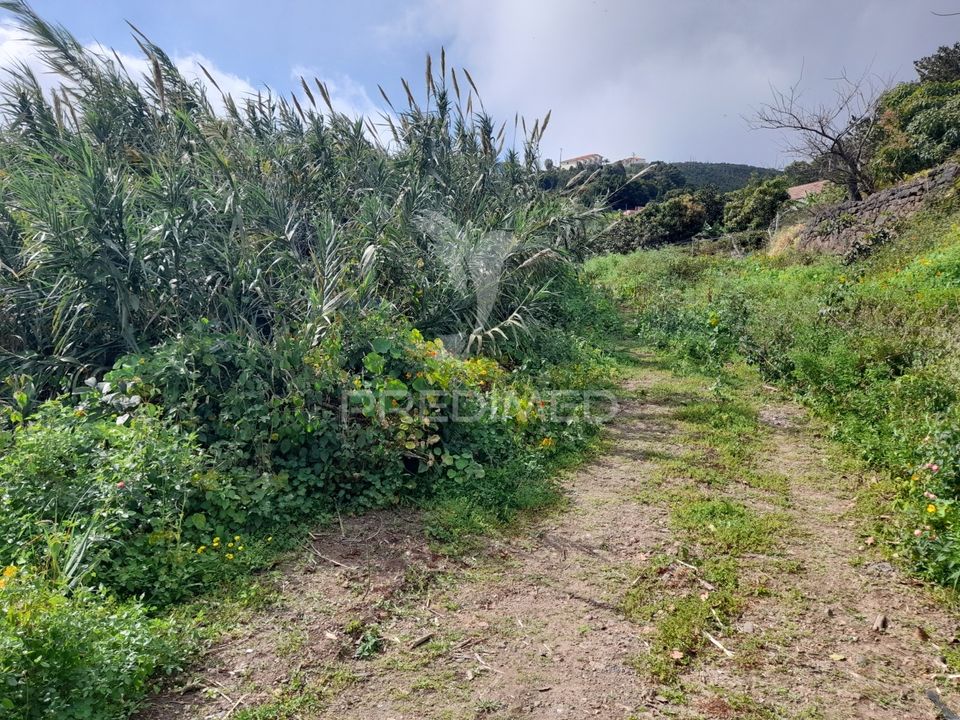 Helårsgrund i Santa Cruz, Madeira - foto 5