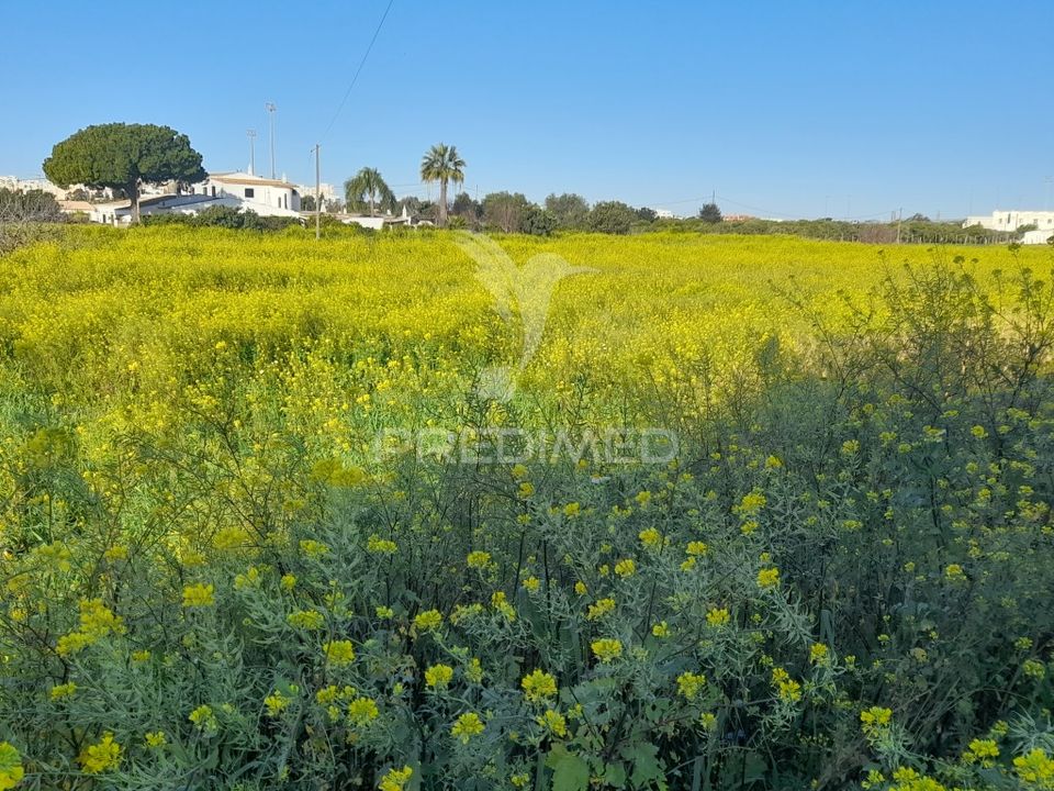 Terra a Faro, Faro - foto 1
