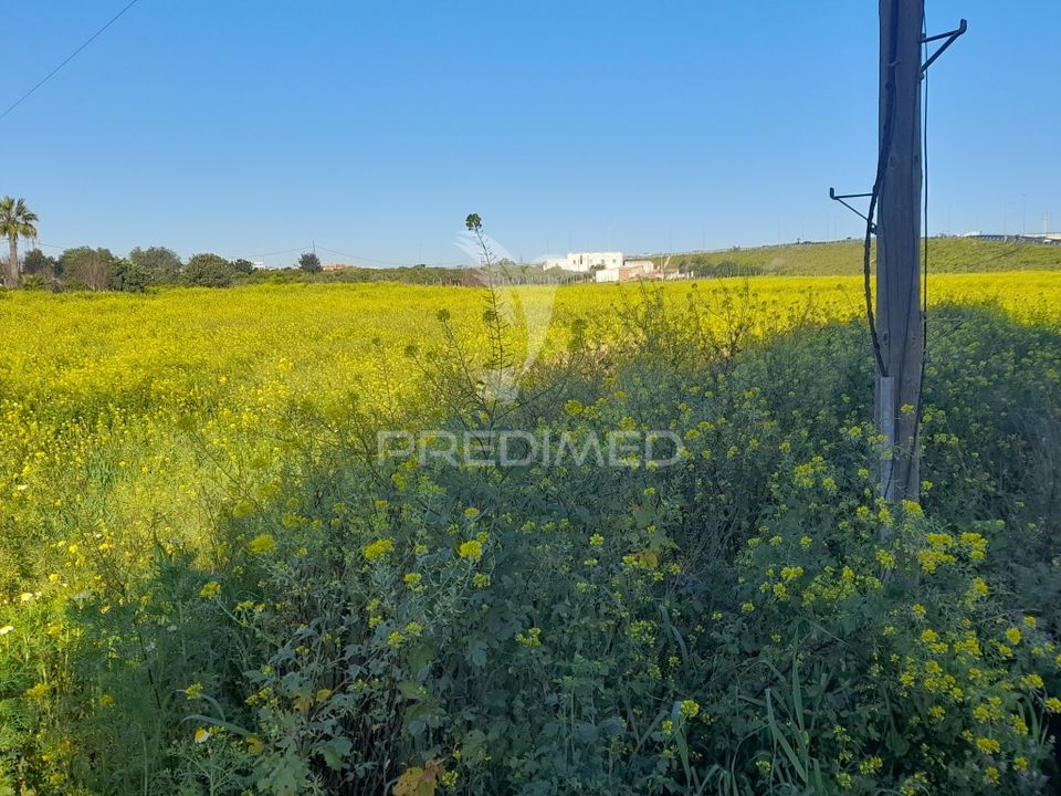 Terra a Faro, Faro - foto 2