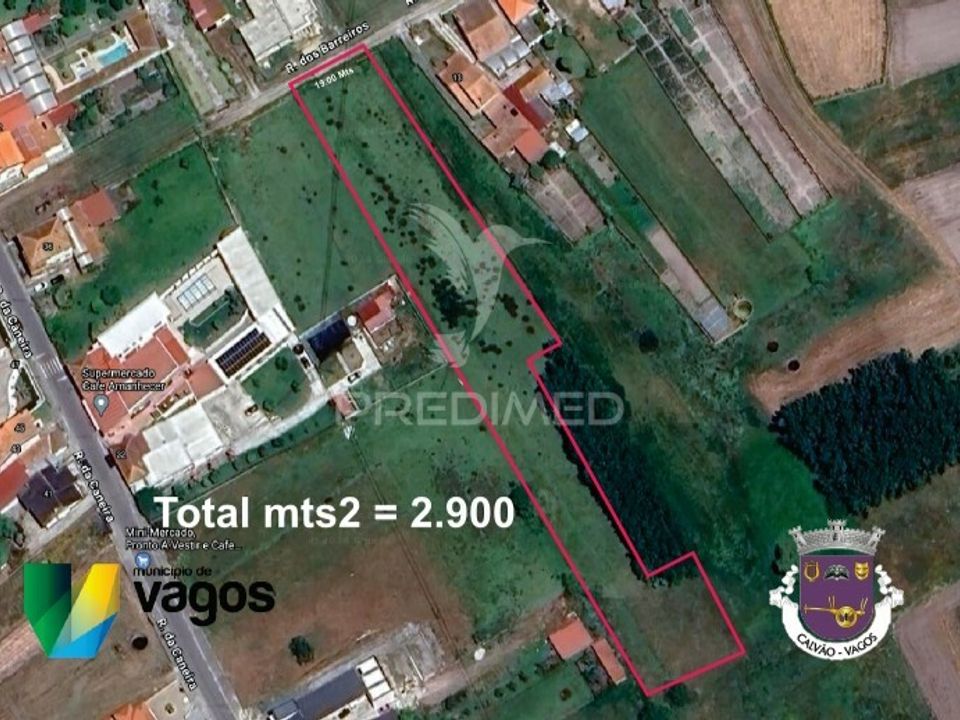 Helårsgrund i Vagos, Aveiro - foto 1