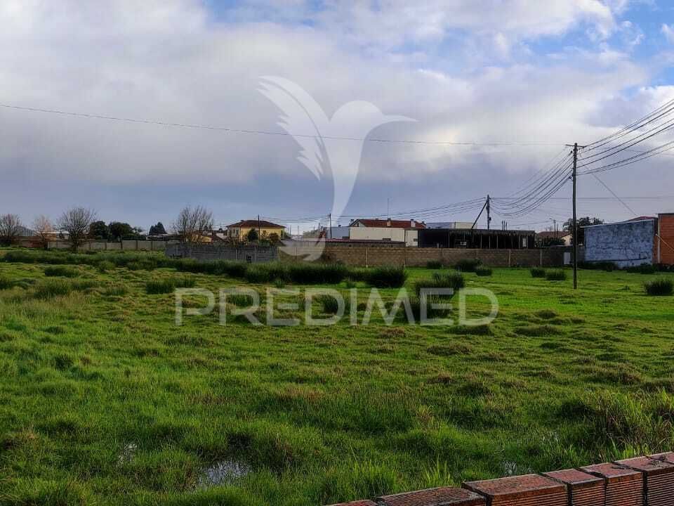 Helårsgrund i Vagos, Aveiro - foto 4