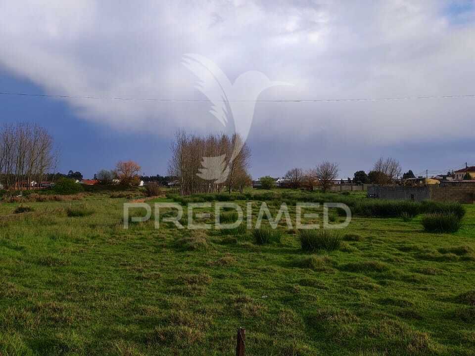 Helårsgrund i Vagos, Aveiro - foto 5