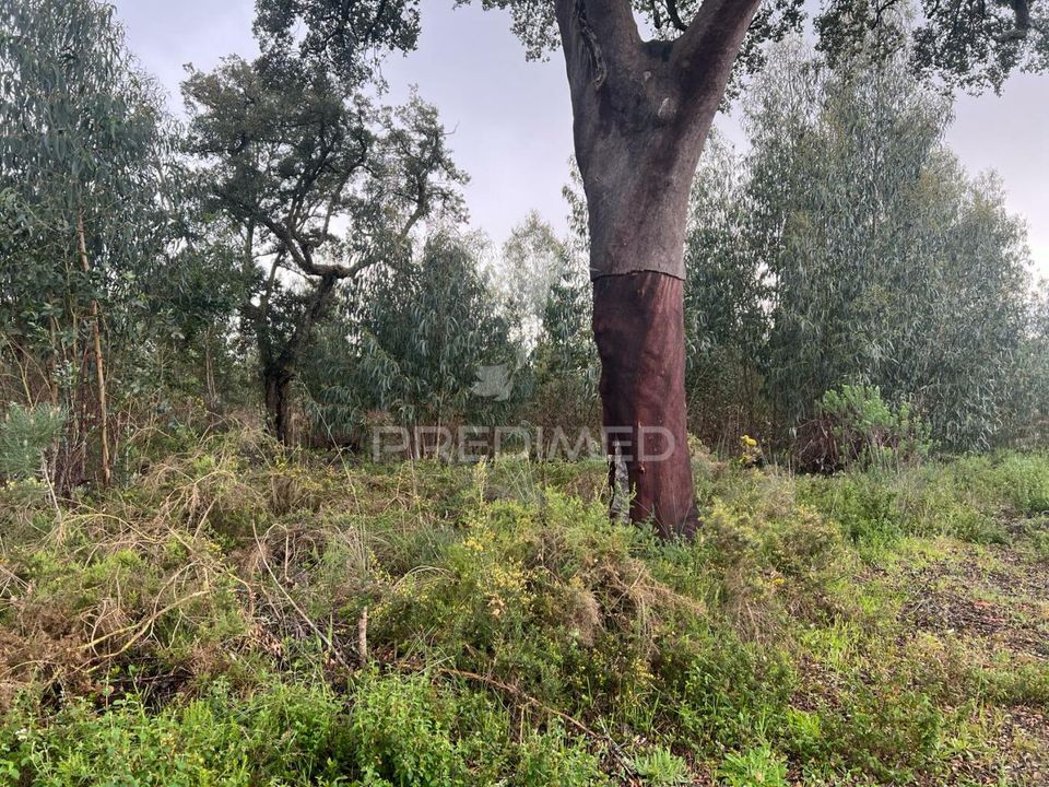 Helårsgrund i Palmela, Setubal - foto 2