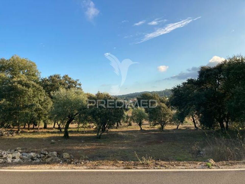 Helårsgrund i Ourem, Santarem - foto 5