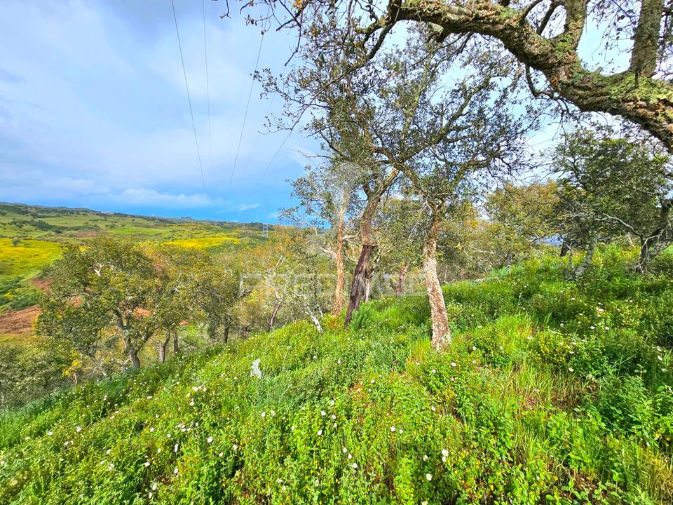Helårsgrund i Almodovar, Beja - foto 4