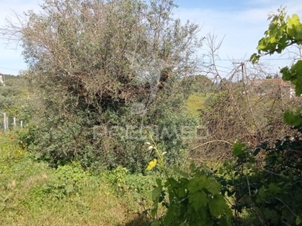 Byhus i Abrantes, Santarem - foto 4