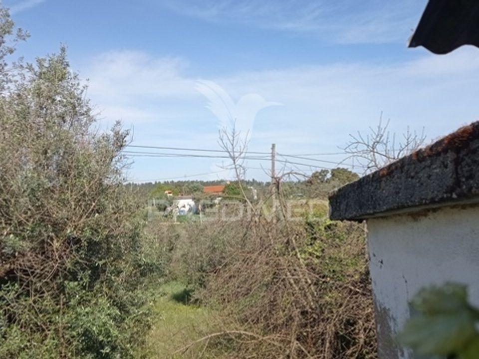 Byhus i Abrantes, Santarem - foto 5