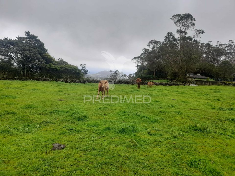 Helårsgrund i Angra do Heroismo, Terceira - foto 5