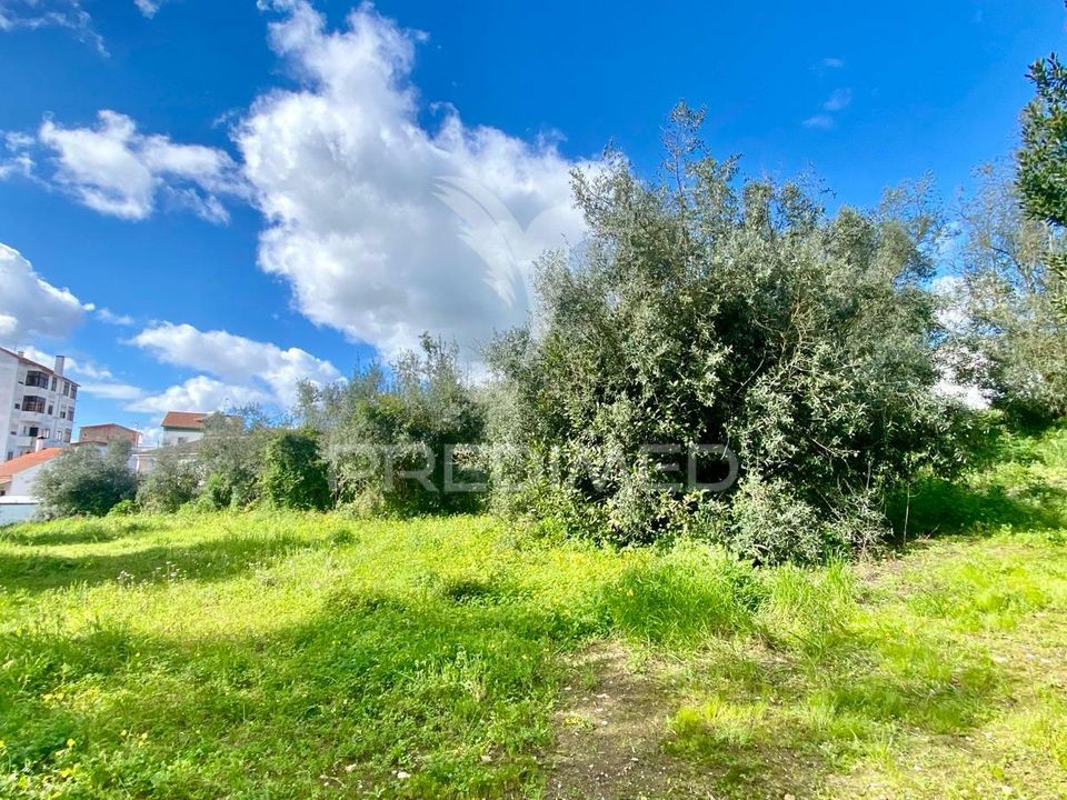 Helårsgrund i Rio Maior, Santarem - foto 1