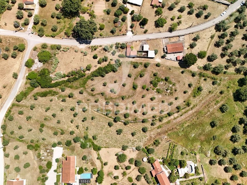Helårsgrund i Ourem, Santarem - foto 2