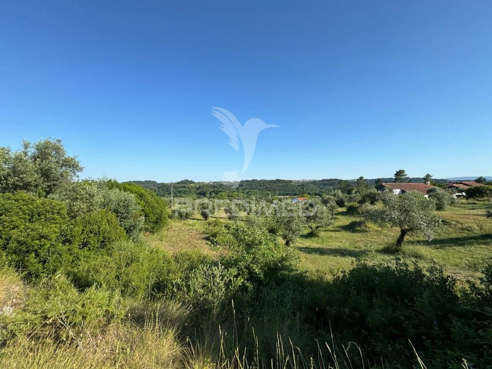 Helårsgrund i Ourem, Santarem - foto 3