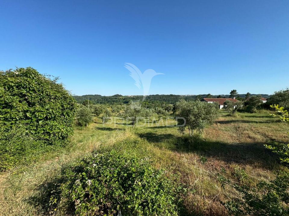 Helårsgrund i Ourem, Santarem - foto 4