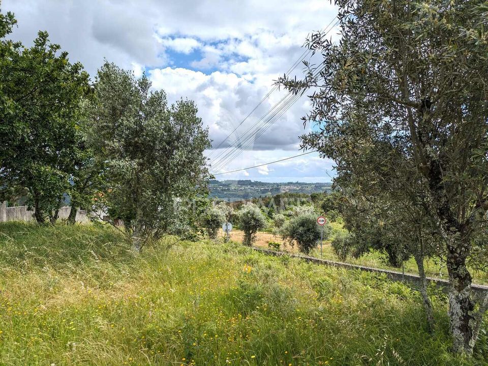 Helårsgrund i Viseu, Viseu - foto 1