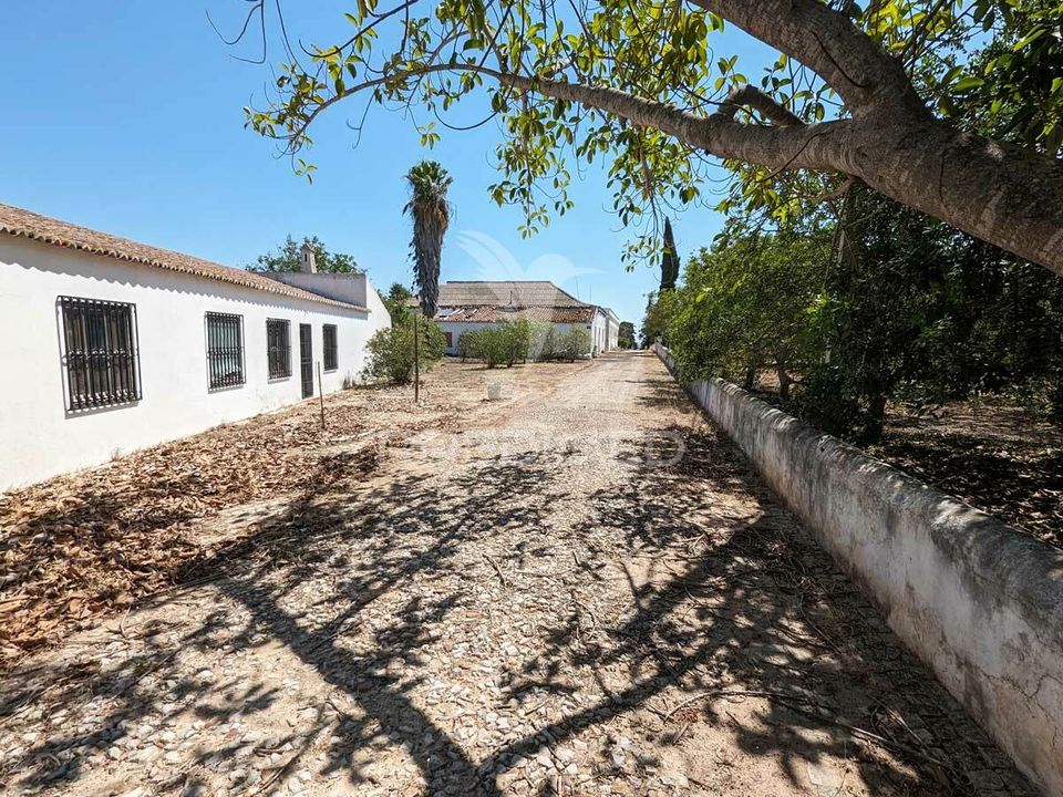 Farm hus i Castro Marim, Faro - foto 4