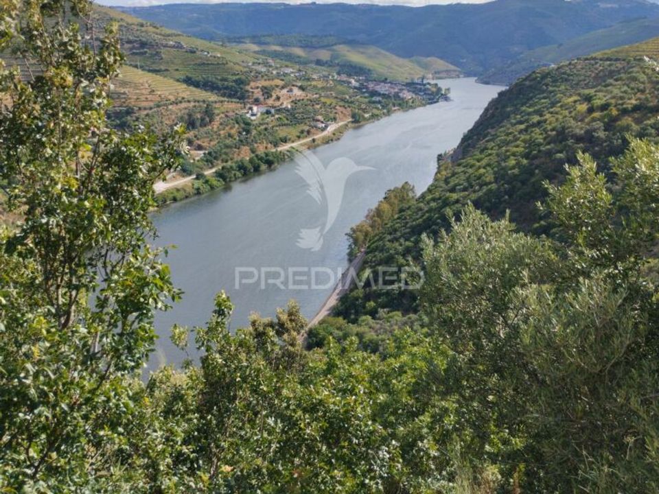 Helårsgrund i Peso da Regua, Vila Real - foto 1