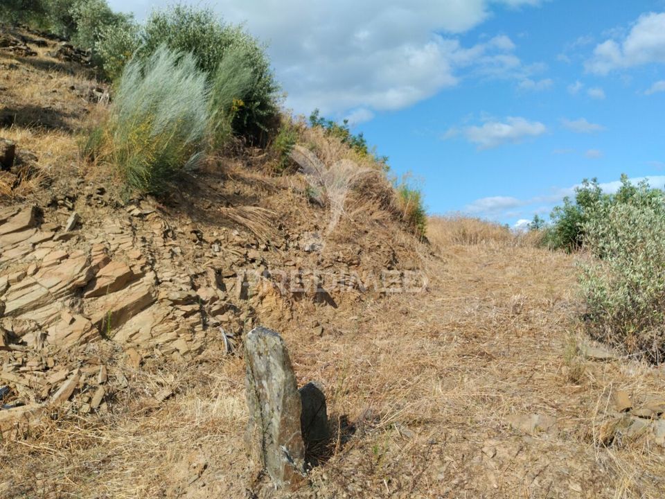Helårsgrund i Peso da Regua, Vila Real - foto 3