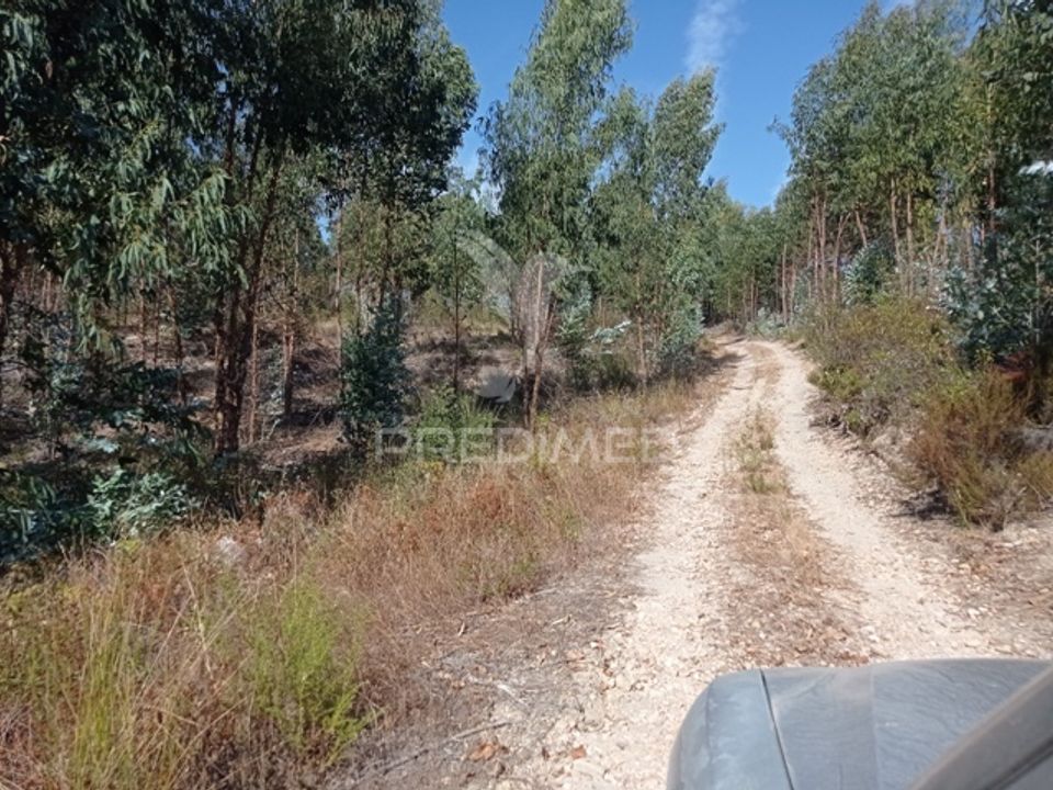 Tomt i Gaviao, Portalegre - bilde 3