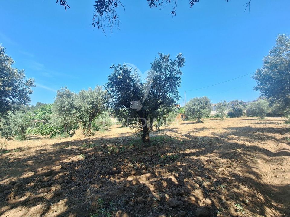 Helårsgrund i Vila Nova da Barquinha, Santarem - foto 4