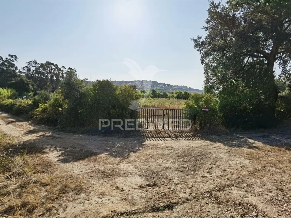 Land in Alcanena, Santarem - photo 1