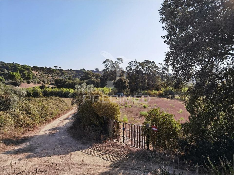 Land in Alcanena, Santarem - photo 2