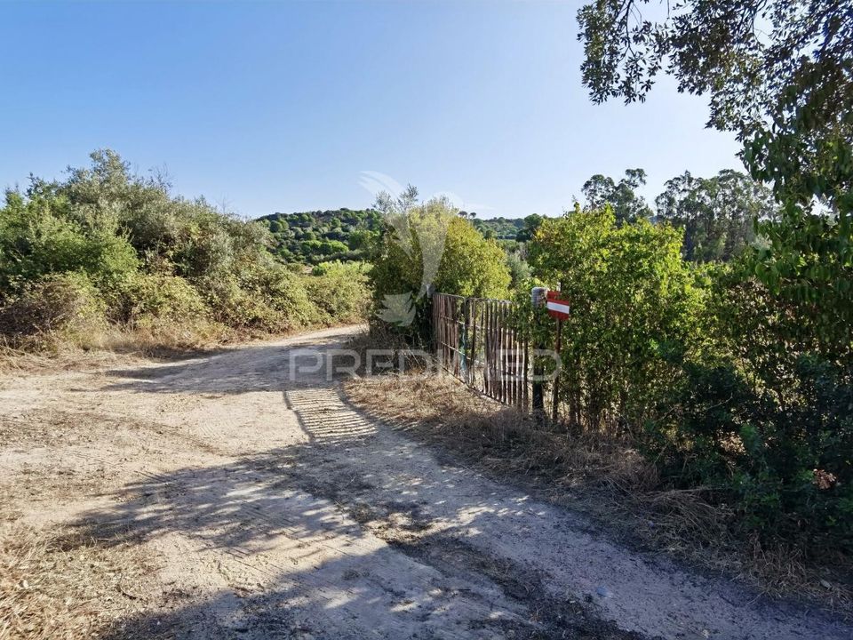 Land in Alcanena, Santarem - photo 3