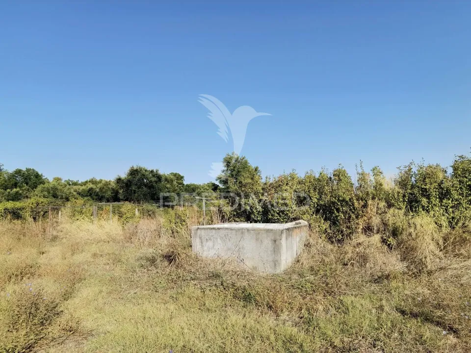 Land in Alcanena, Santarem - photo 4