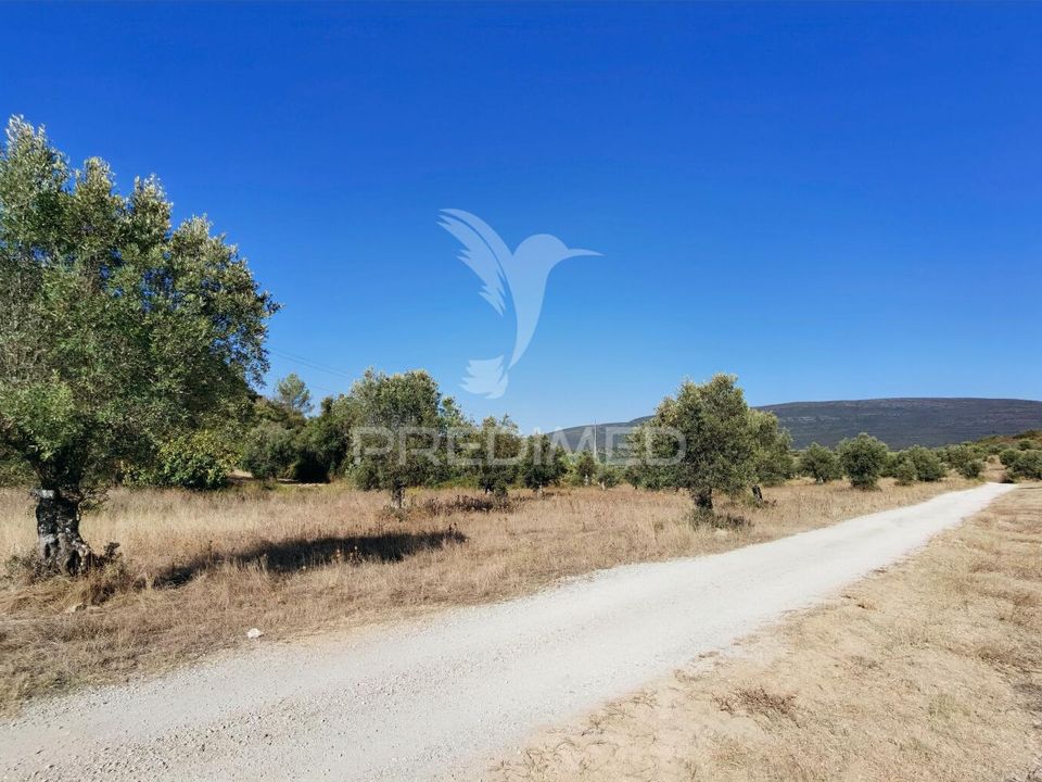 Helårsgrund i Torres Novas, Santarem - foto 1