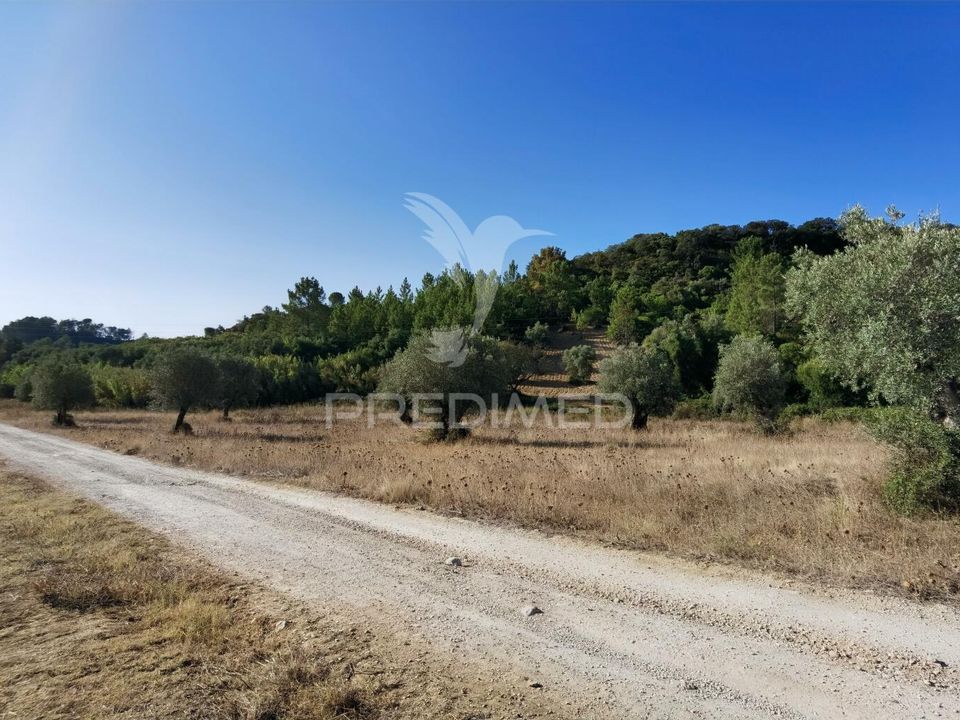 Helårsgrund i Torres Novas, Santarem - foto 4
