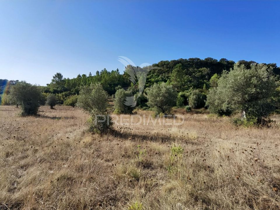 Helårsgrund i Torres Novas, Santarem - foto 5