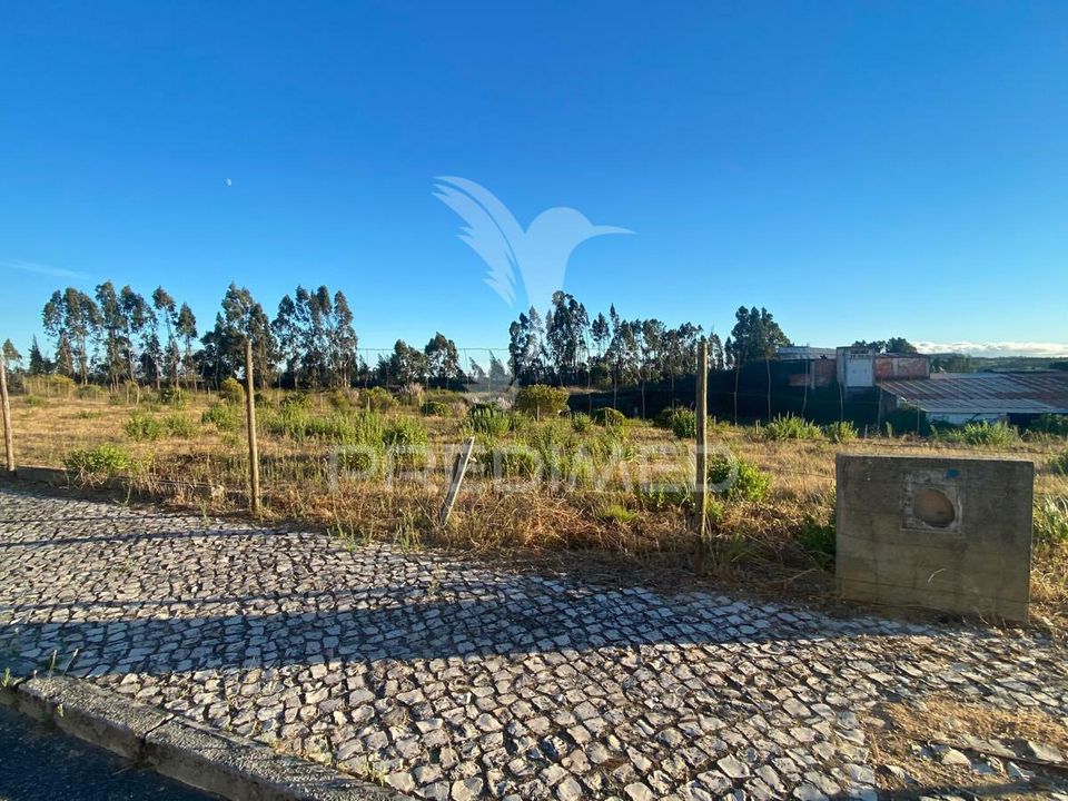 Helårsgrund i Rio Maior, Santarem - foto 1