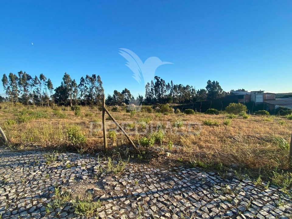 Helårsgrund i Rio Maior, Santarem - foto 2