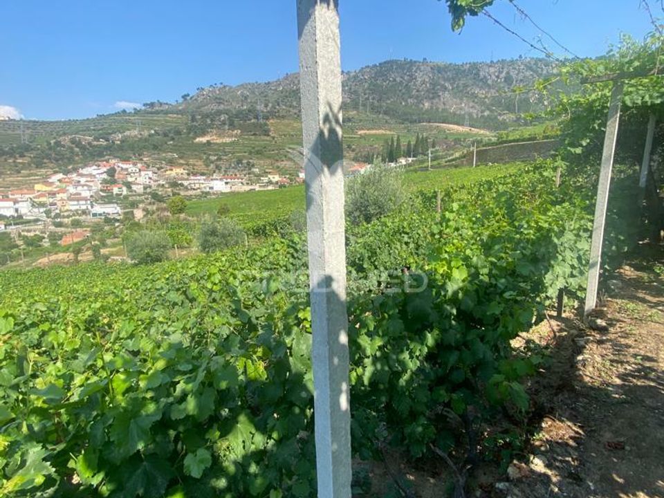 Helårsgrund i Lamego, Viseu - foto 5
