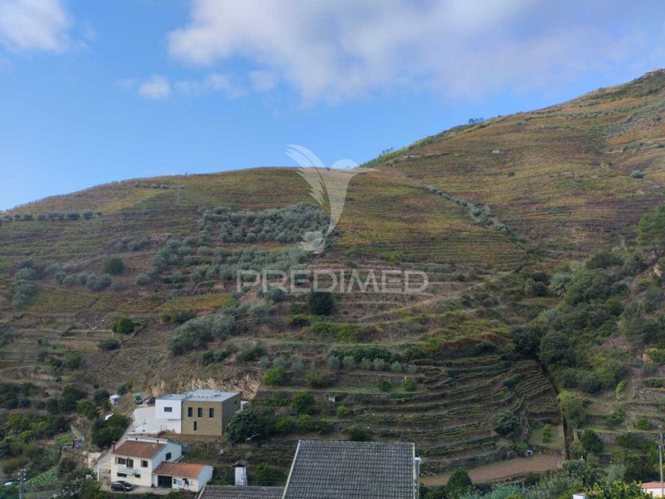 Tomt i Peso da Regua, Vila Real - bilde 3