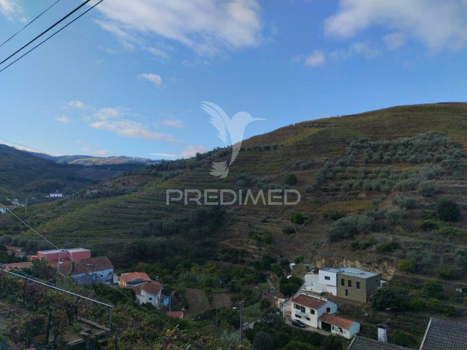 Tomt i Peso da Regua, Vila Real - bilde 4