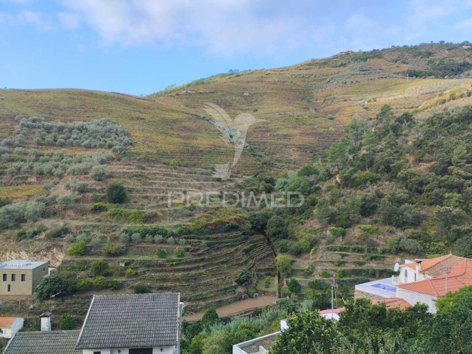 Tomt i Peso da Regua, Vila Real - bilde 5