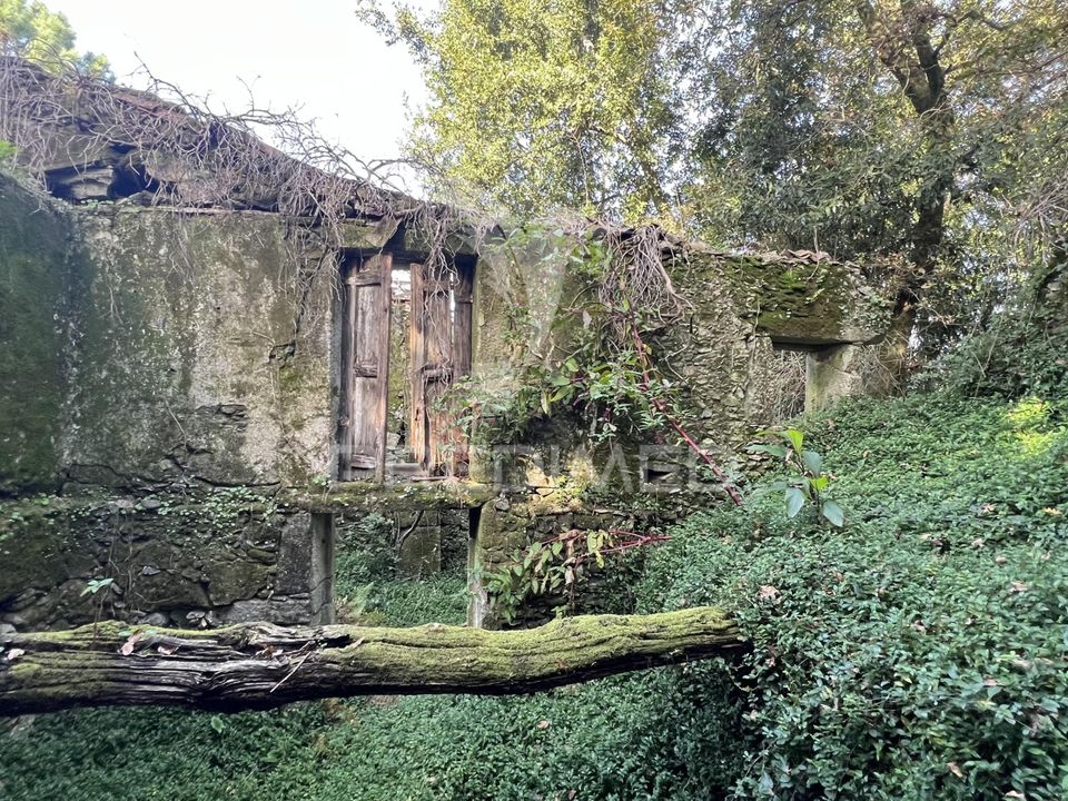 Ruinere i Vila Verde, Braga - foto 5