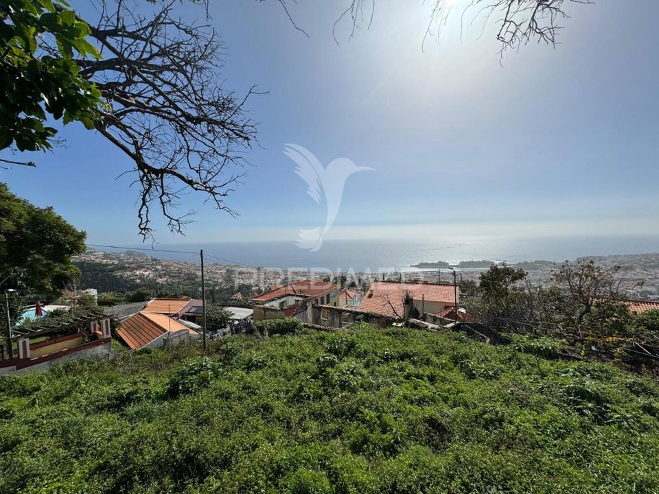 Casa de pueblo en Funchal, Madeira - foto 4