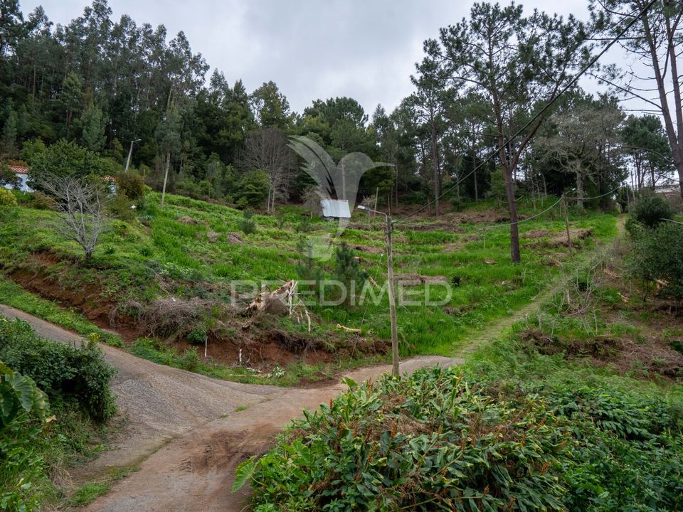 Helårsgrund i Santa Cruz, Madeira - foto 4