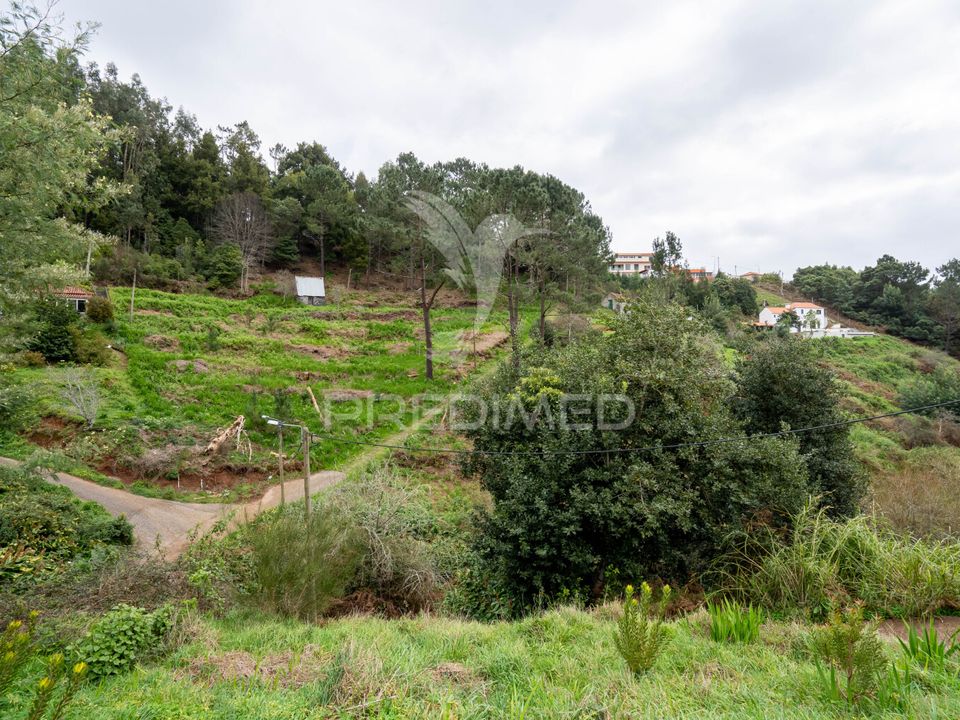 Helårsgrund i Santa Cruz, Madeira - foto 5