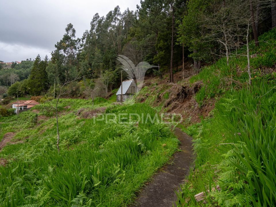 Helårsgrund i Santa Cruz, Madeira - foto 4
