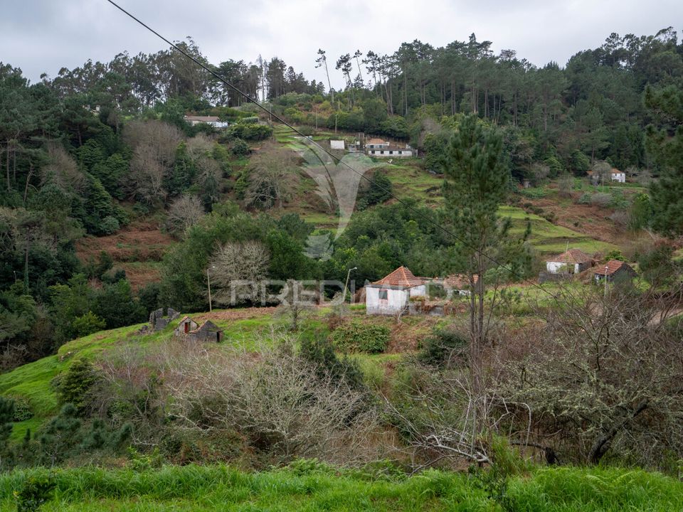 Helårsgrund i Santa Cruz, Madeira - foto 5
