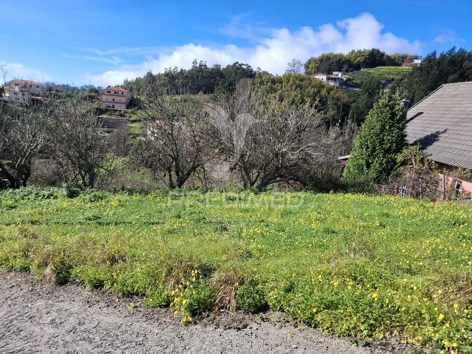Helårsgrund i Santa Cruz, Madeira - foto 2