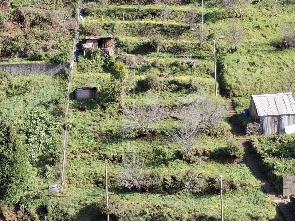 Helårsgrund i Santa Cruz, Madeira - foto 3